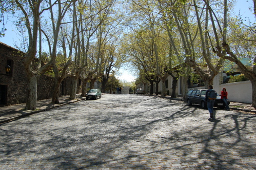 DSC_0146.JPG